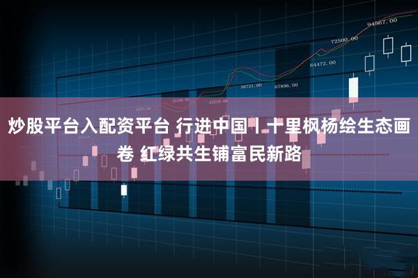 炒股平台入配资平台 行进中国丨十里枫杨绘生态画卷 红绿共生铺富民新路